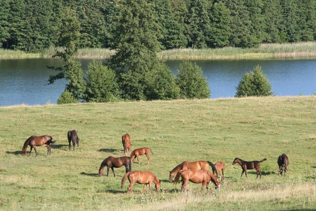 Komblowka Marcinowa Wola Buitenkant foto